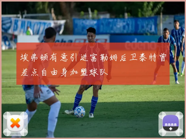 埃弗顿有意引进富勒姆后卫泰特曾差点自由身加盟球队