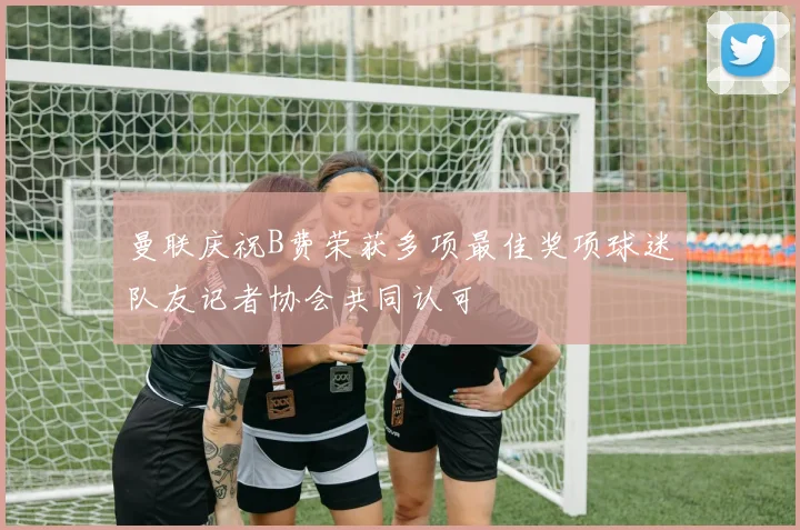 曼联庆祝B费荣获多项最佳奖项球迷队友记者协会共同认可